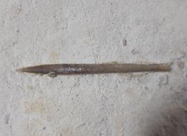 Solnhofen - Nusplingen - Hibolithes semisulcatus (MÜNSTER 1830)
